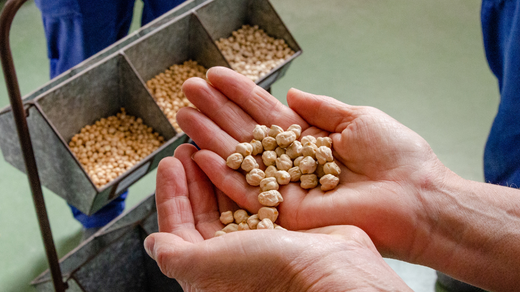 Brilliant Beans: Epic & Heirloom varieties