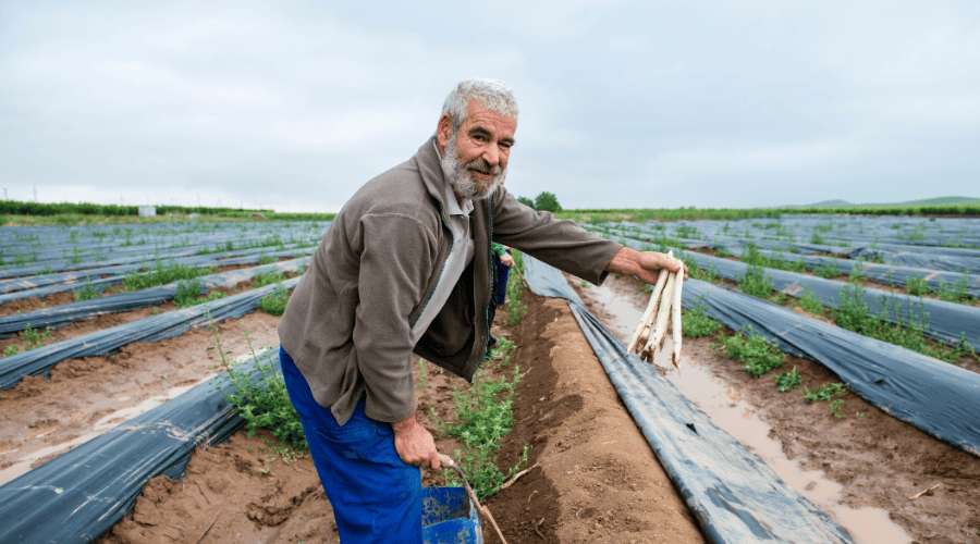 Supplier Spotlight: El Navarrico