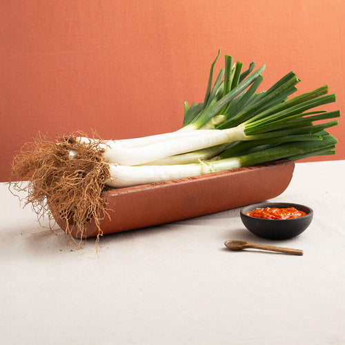 Calcots and Romesco Sauce served in a bowl Brindisa Spanish Foods