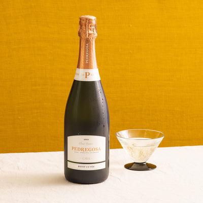 Bottle of Pedregosa cava with a glass on a yellow background