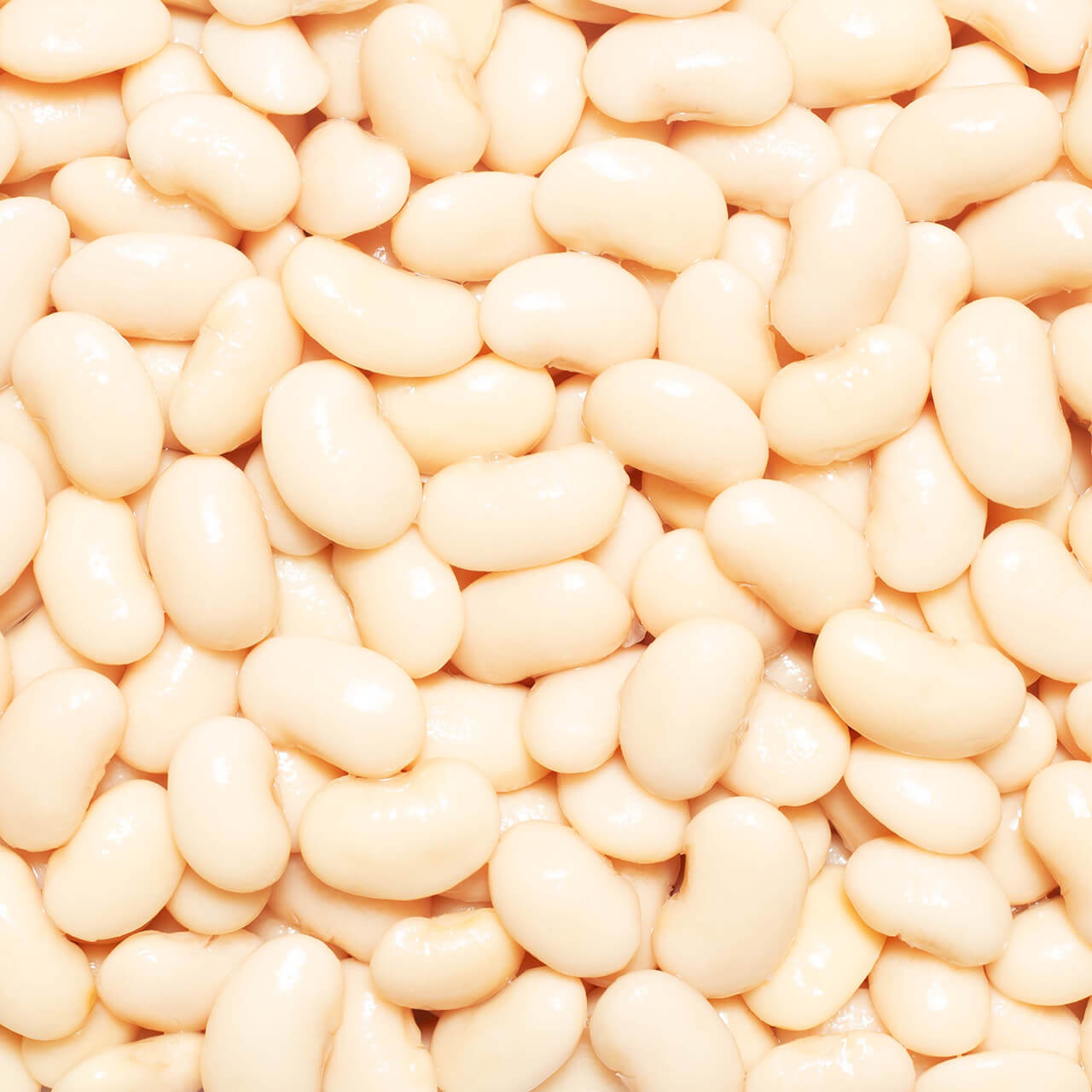 Perello Butter Beans 700g