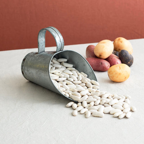 Fabas de Lourenza, Galician Long White Beans, 400g
