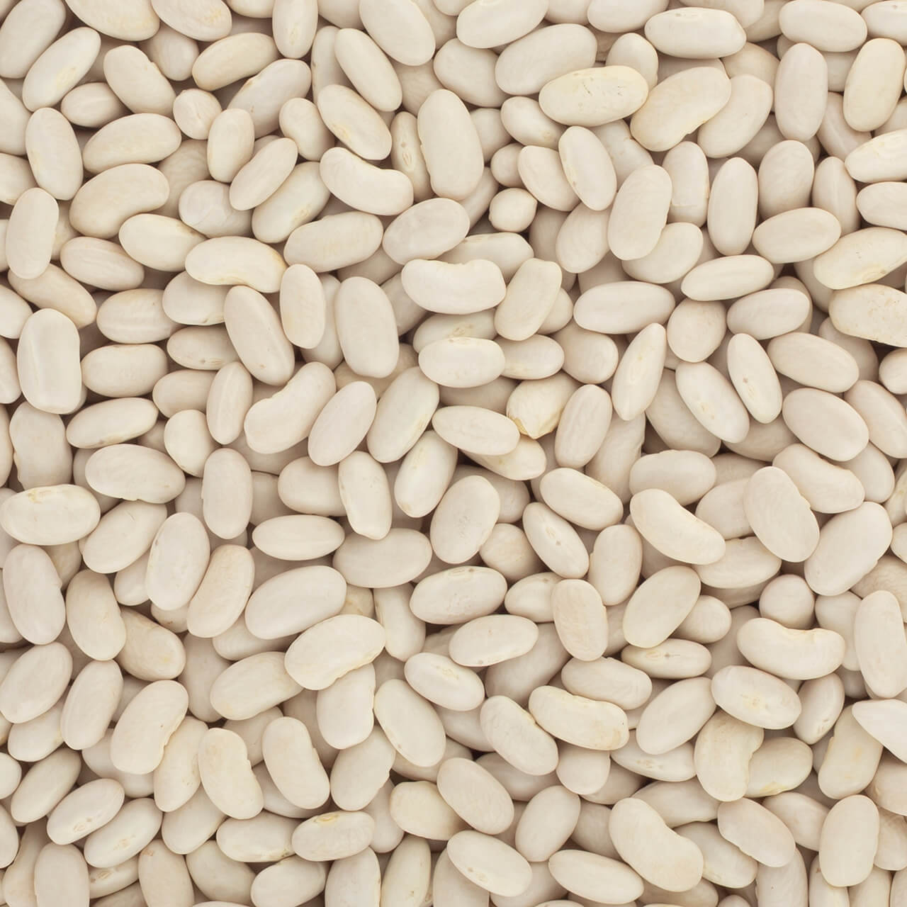 LE27303 Brindisa epic alubia beans cloth sack spanish foods