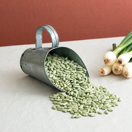 Galician Flageolet Beans, 400g