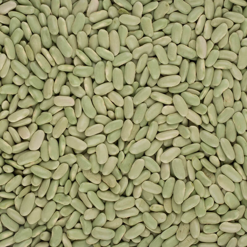 Galician Flageolet Beans, 400g