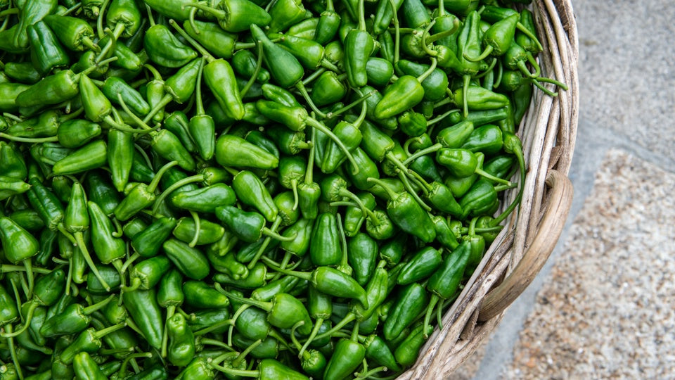 PADRÓN PEPPERS