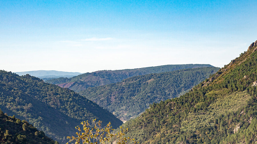 Galicia landscape - Spain
