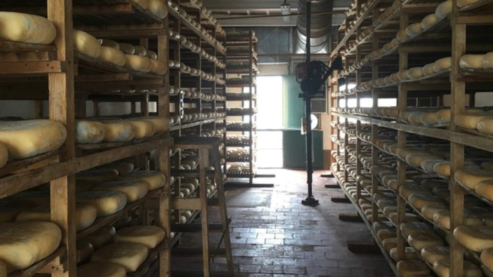 SPANISH CHEESE - MAHON