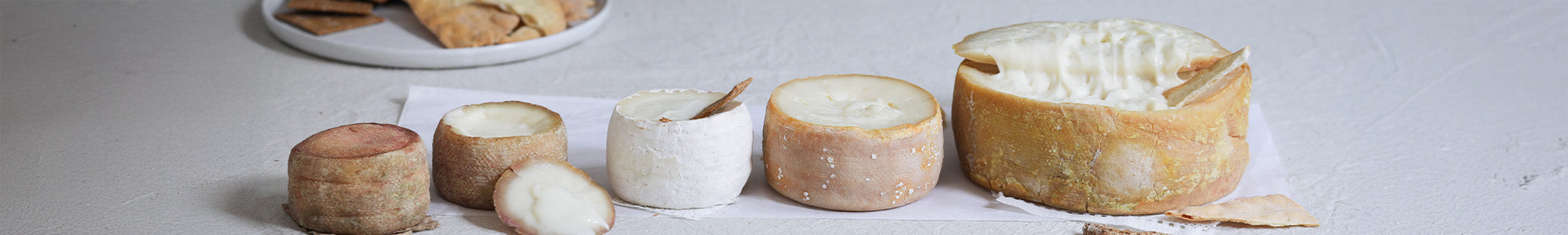 a collection of torta cheeses 