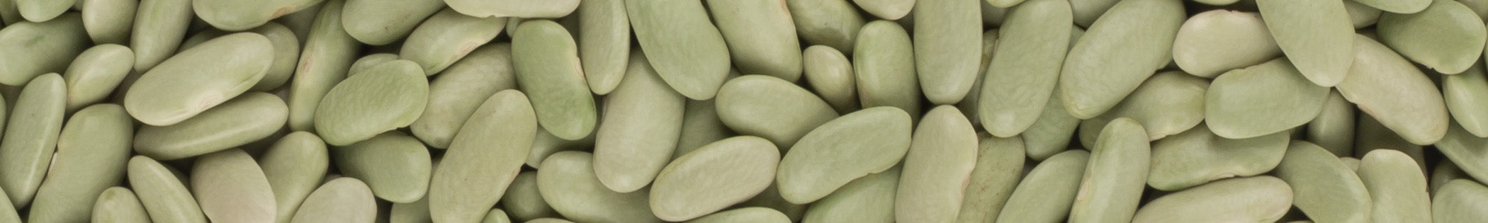 Dried Beans and Pulses