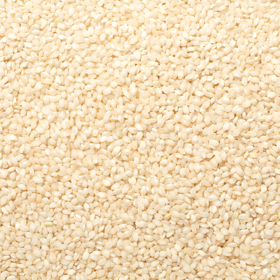 Calasparra - Spanish Rice 