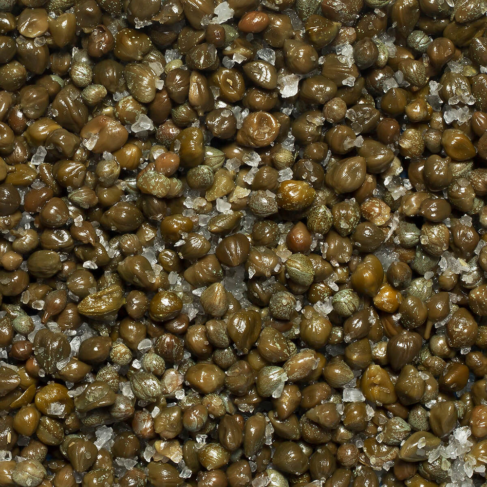 Perello Capers in salt, non pareilles, 75g jar