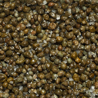 Perello Capers in salt, non pareilles, 75g jar