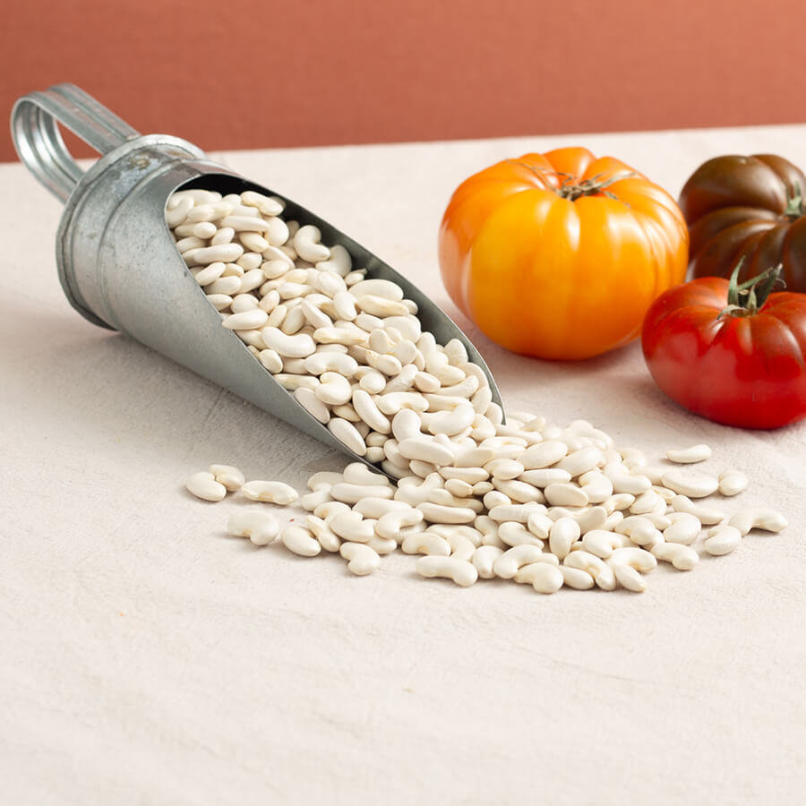 Mongetes del ganxet, beans shaped as hooks with three heirloom tomatoes