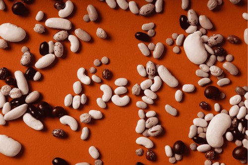 dried beans banner