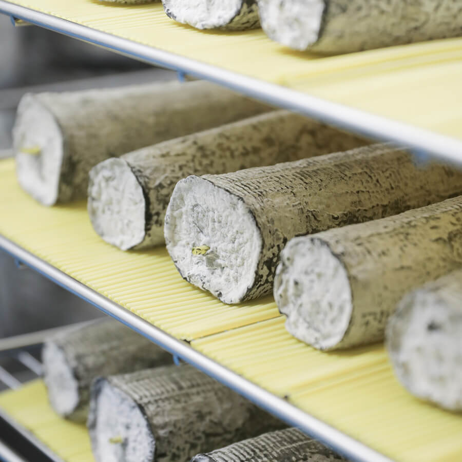 moluengo goats cheese in the curing room
