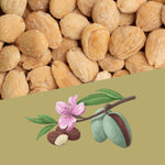 Perello Salted Marcona Almonds, 1kg