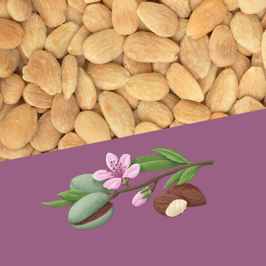 Perello Smoked Catalan Almonds, 1kg