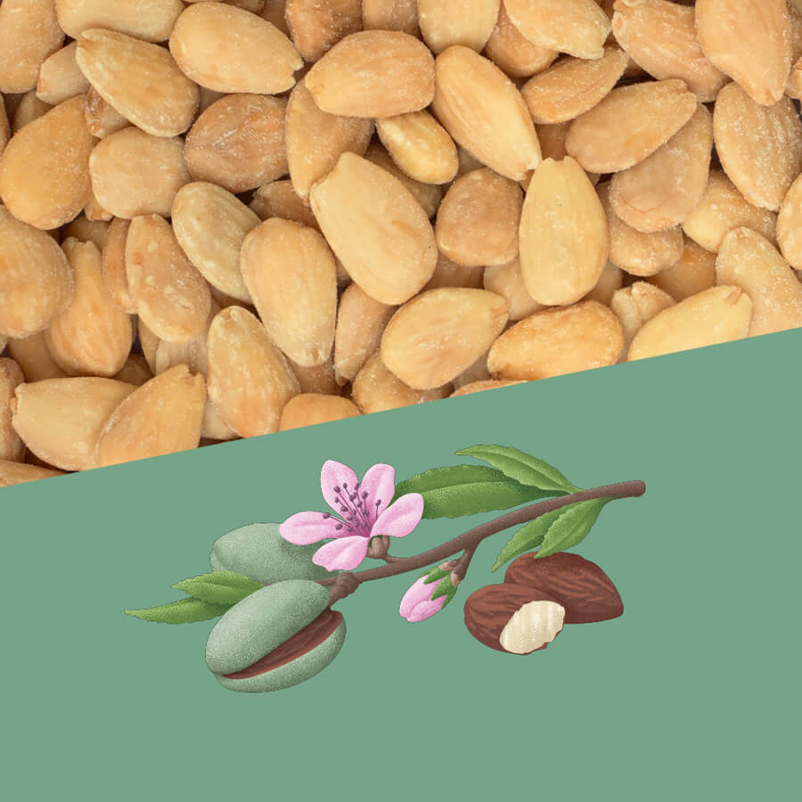 Perello Salted Catalan Almonds, 1kg