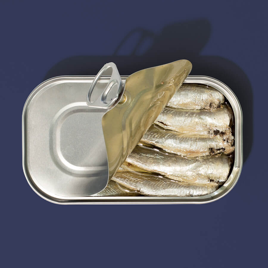 Can of sardines with a open lid on a dark blue background