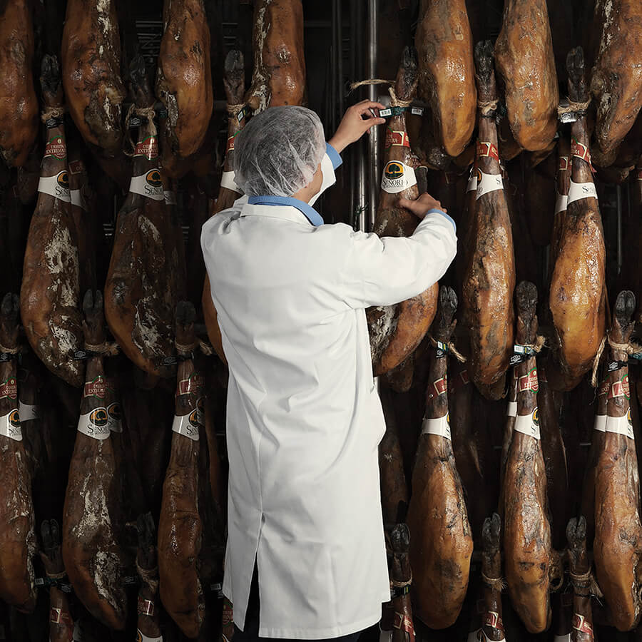 Person in a white coat inspecting hanging hams in a factory setting