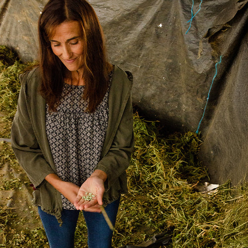 verdina beans supplier holding some beans in her hand 