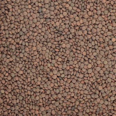 LE27301 Brindisa epic pardina lentils brindisa spanish foods