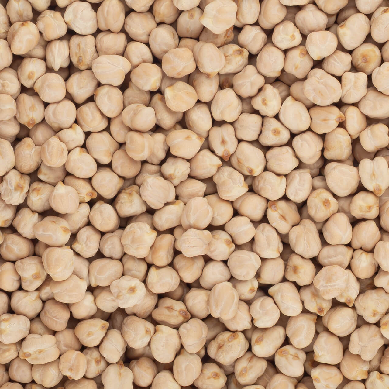     LE27302 Brindisa epic lechoso brindisa spanish foods