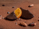 Dark Chocolate Dipped Candied Orange Segments