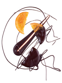 Dark Chocolate Dipped Candied Orange Segments
