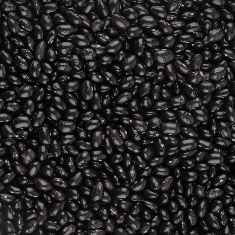 Tolosana Round Black Beans, 400g